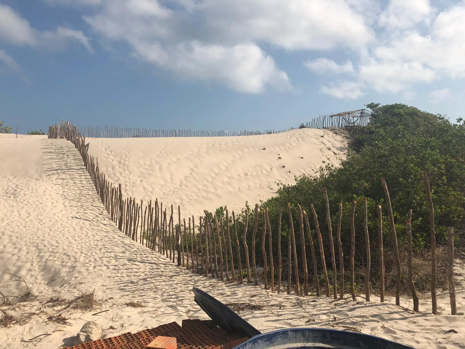 The boundary fence along the dune