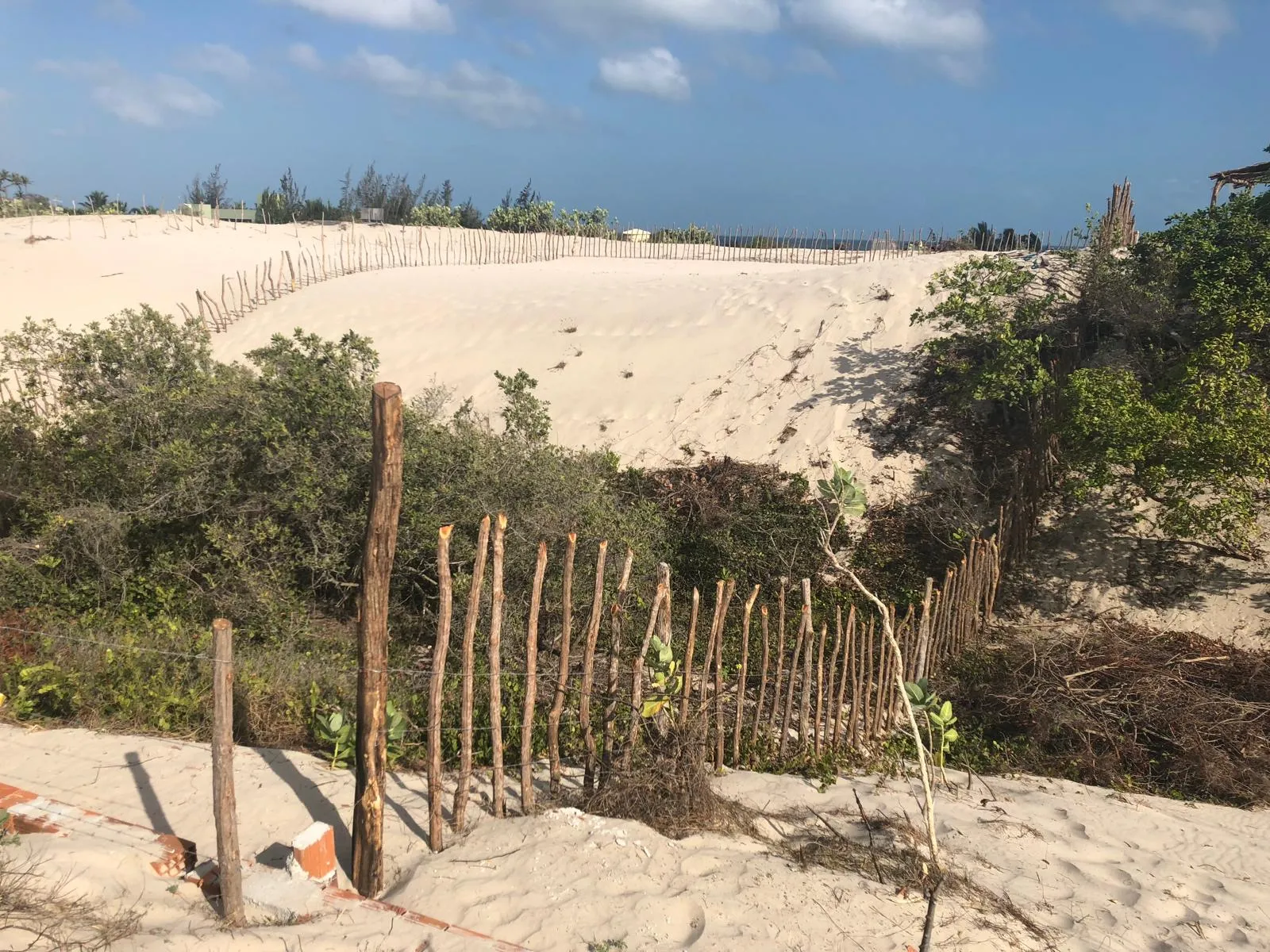 The dune with the ocean on the horizon