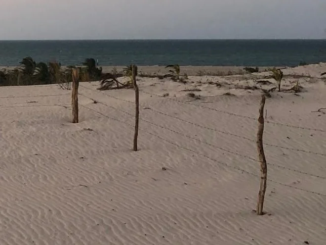On the plot at sunset, the ocean beyond the fence
